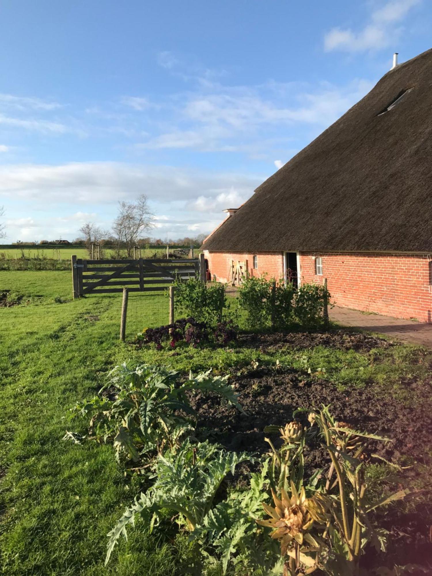 Appartement Parel Het Hogeland Garnwerd