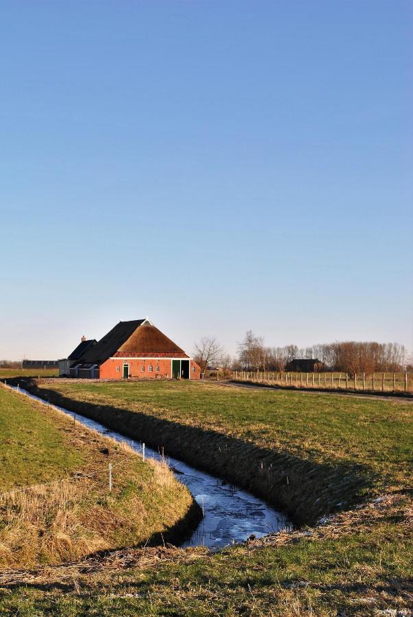 Parel Het Hogeland Appartement