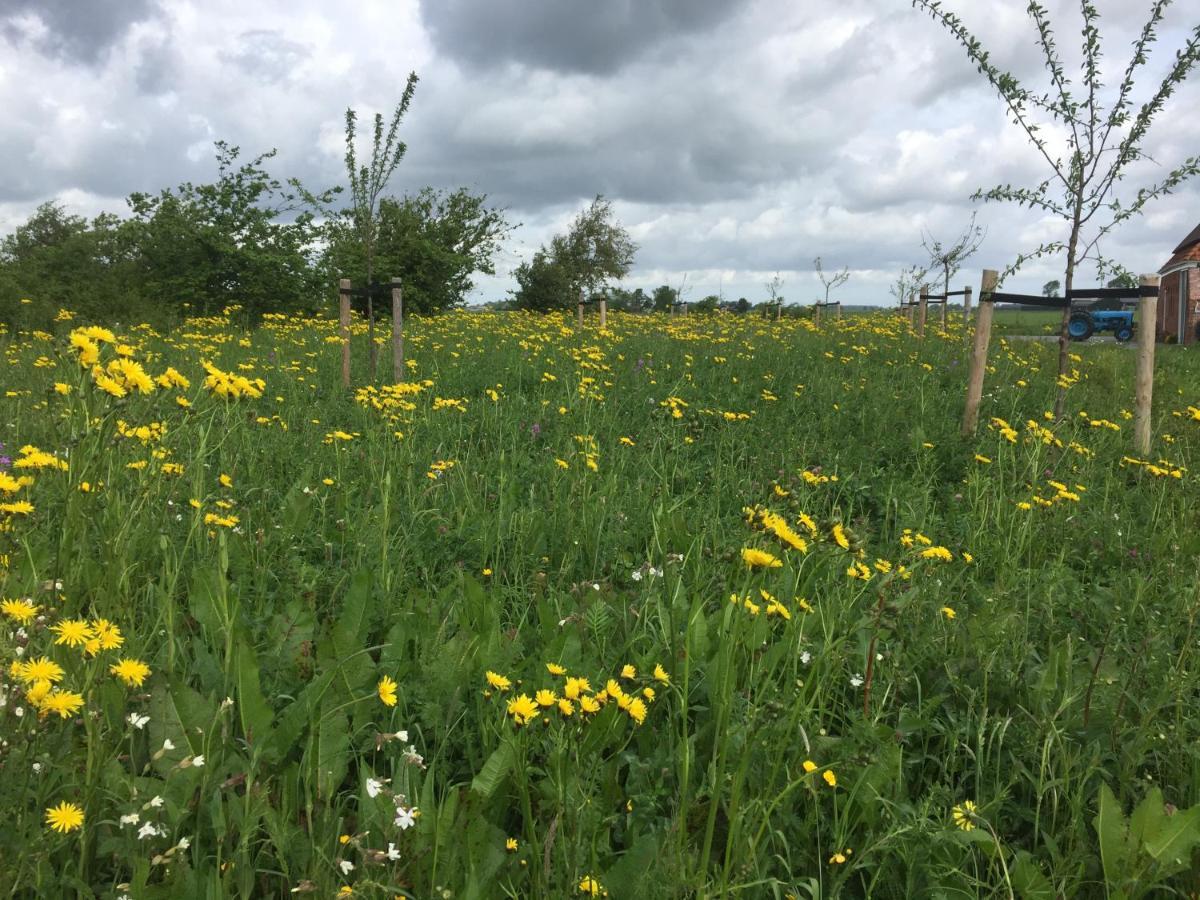 Appartement Parel Het Hogeland